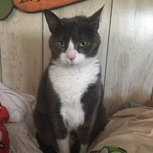 Meet your Posher, Jackie